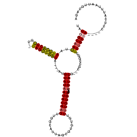 secondary structure