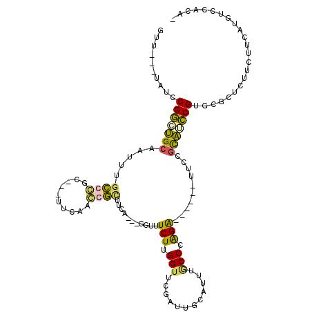 secondary structure