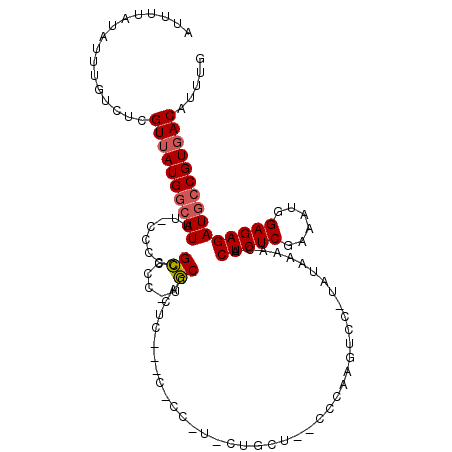 secondary structure