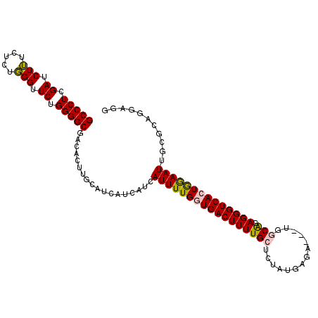 secondary structure