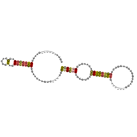 secondary structure