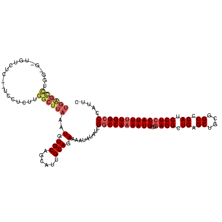 secondary structure