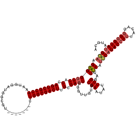 secondary structure