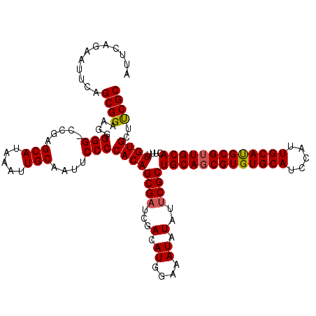 secondary structure