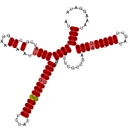secondary structure