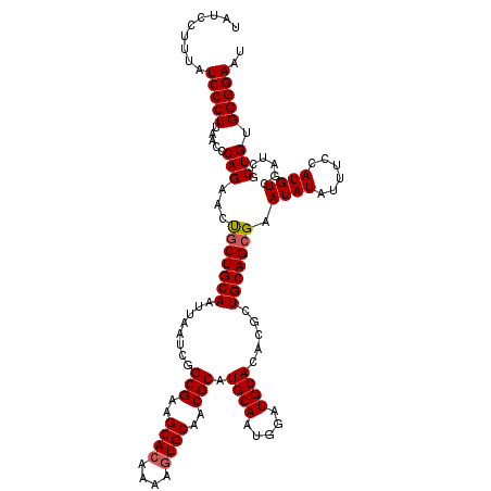 secondary structure