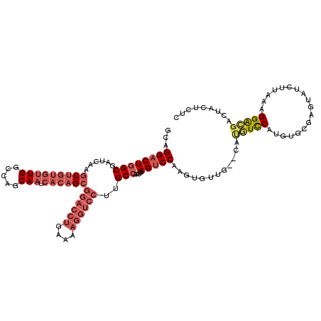 secondary structure