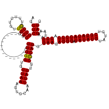 secondary structure