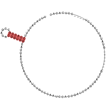secondary structure