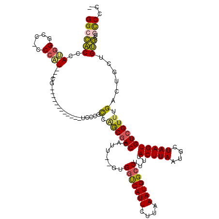 secondary structure