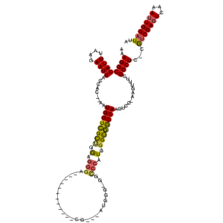 secondary structure