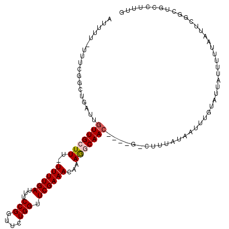 secondary structure