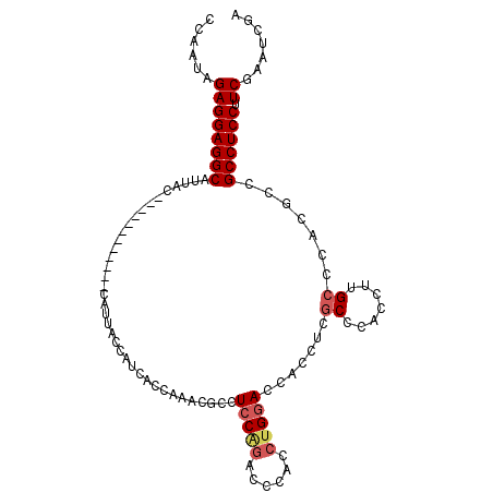 secondary structure