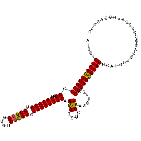 secondary structure