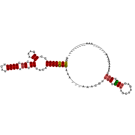 secondary structure