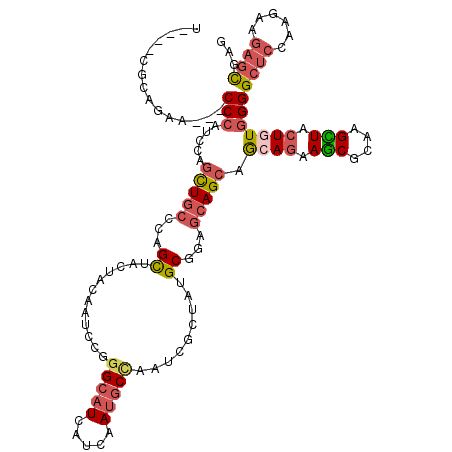 secondary structure