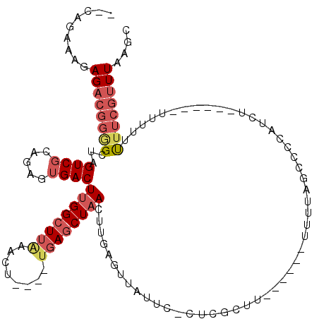 secondary structure