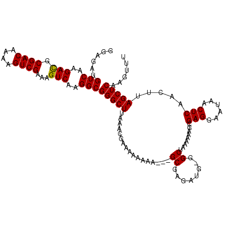 secondary structure