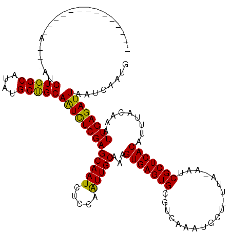 secondary structure