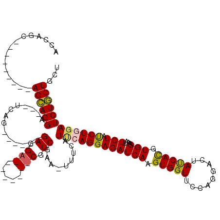 secondary structure