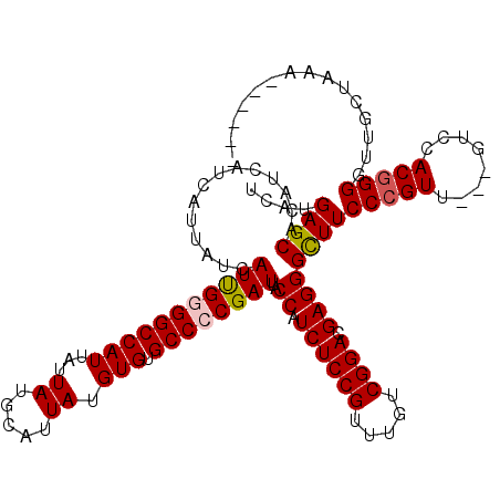 secondary structure