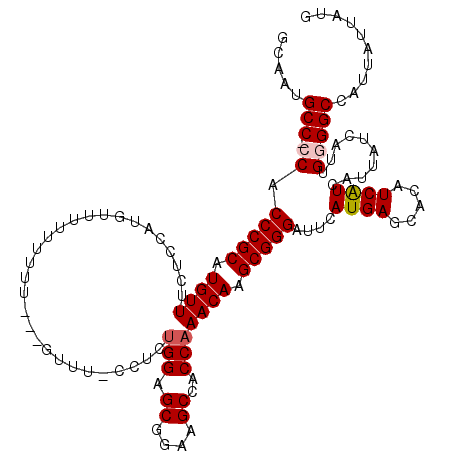 secondary structure