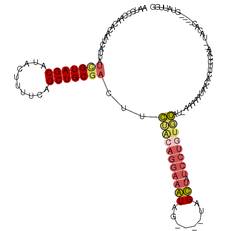 secondary structure