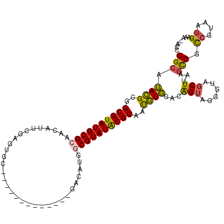 secondary structure