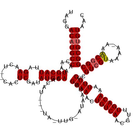 secondary structure