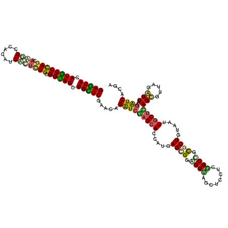 secondary structure