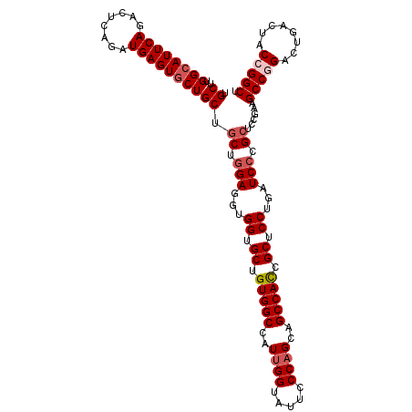 secondary structure