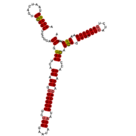 secondary structure