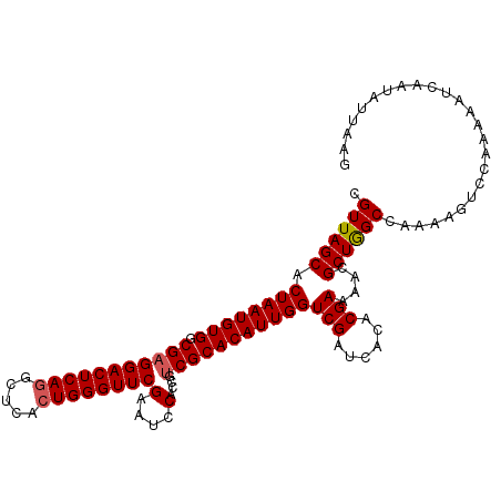 secondary structure