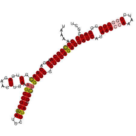 secondary structure