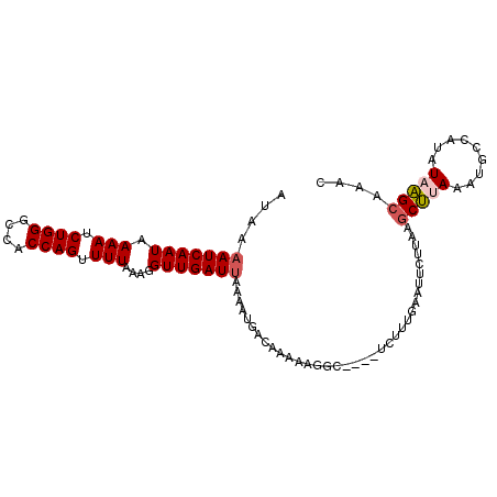 secondary structure