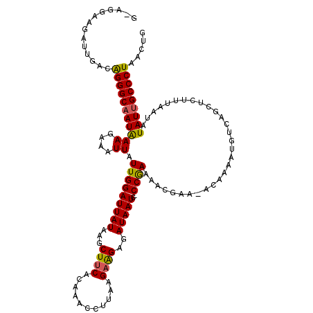secondary structure