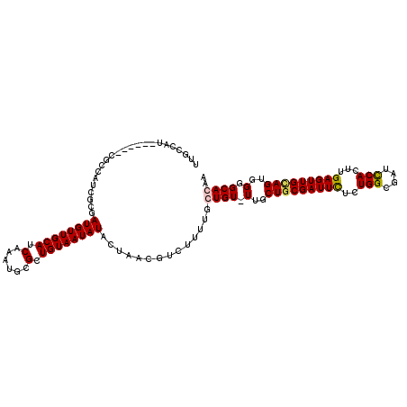 secondary structure