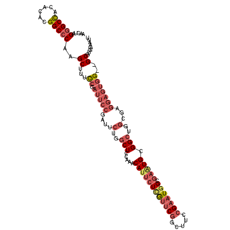 secondary structure