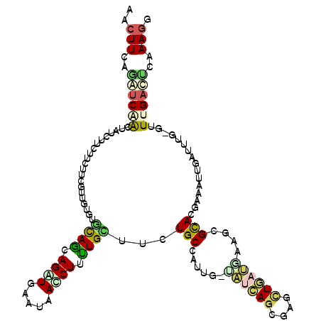 secondary structure