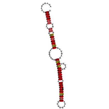 secondary structure