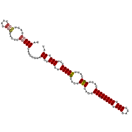 secondary structure