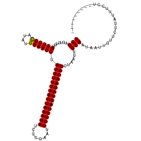 secondary structure
