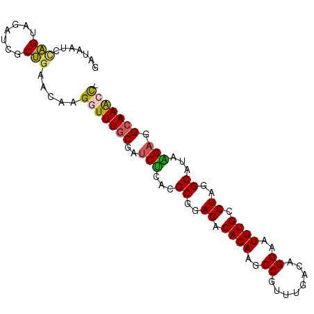 secondary structure