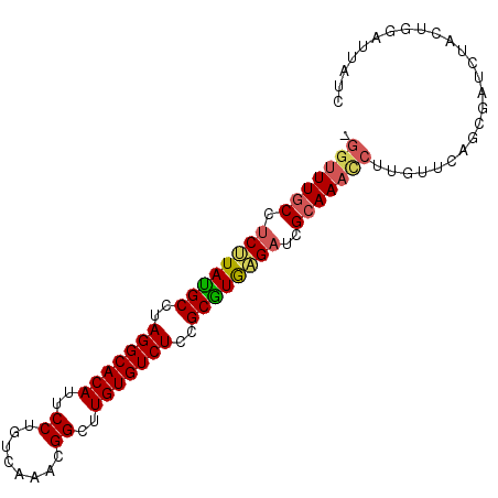 secondary structure