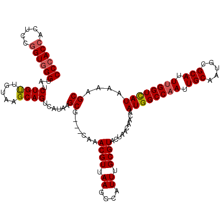 secondary structure