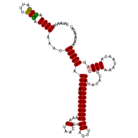 secondary structure