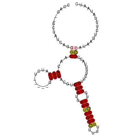 secondary structure