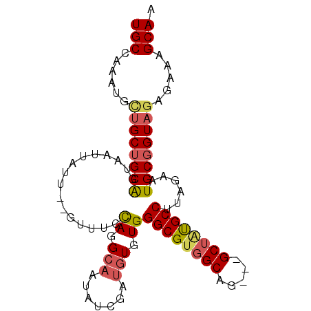 secondary structure