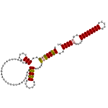secondary structure