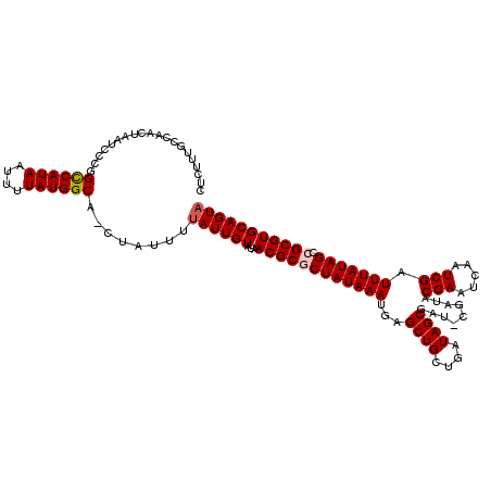 secondary structure